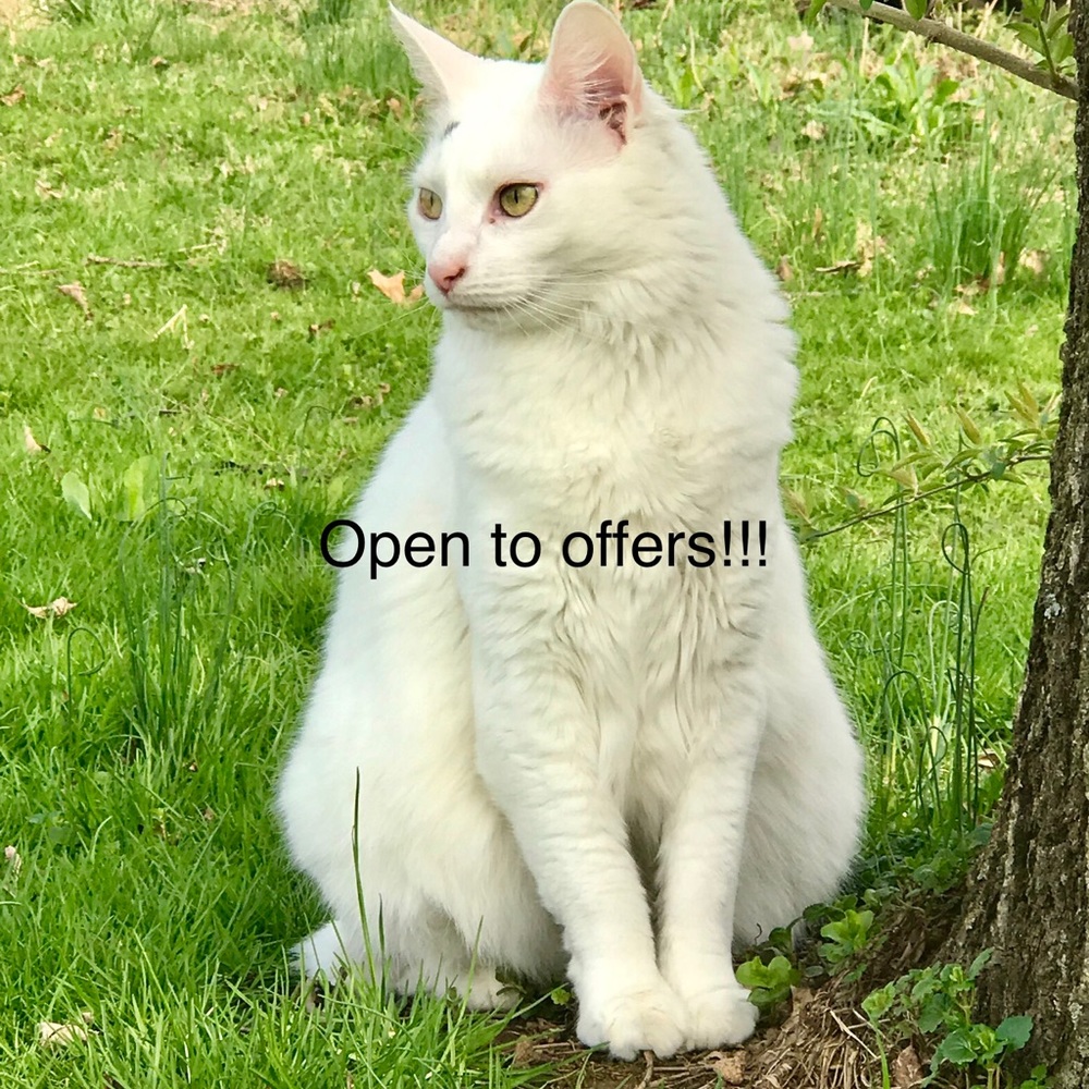 Open to offers!!!